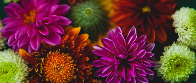 市场反响 市场反响