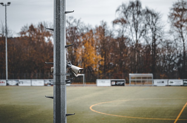 心理辅导甚 心理辅导甚