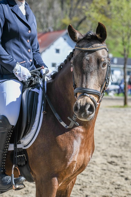 皇马签上伤 皇马签上伤