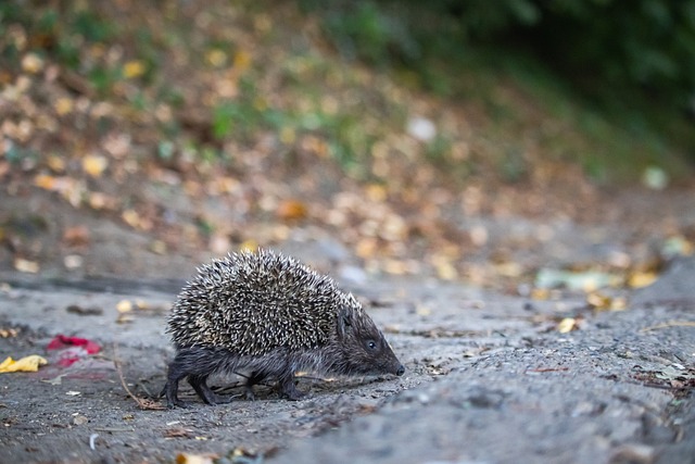 业内人士评 业内人士评
