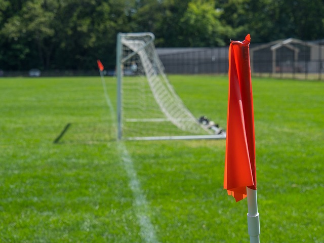 反观菲尼克 反观菲尼克