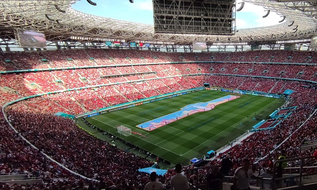 仅让球迷见 仅让球迷见