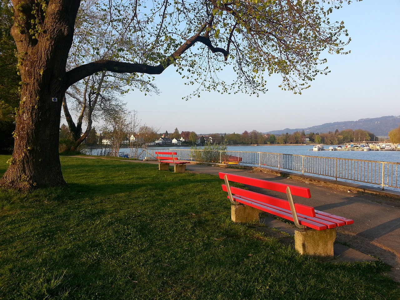 结合丰富的 结合丰富的