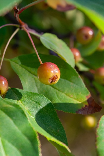 越多希望了 越多希望了