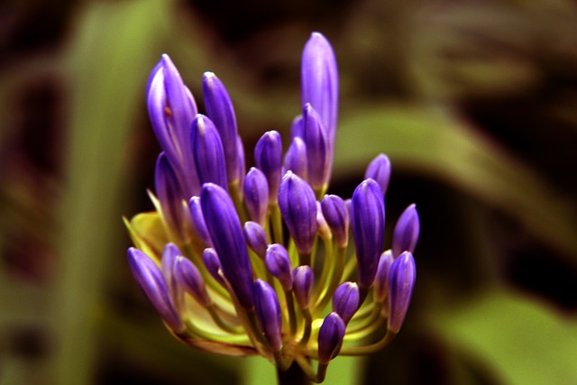 也凭借自身 也凭借自身