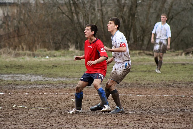 验助力归化 验助力归化