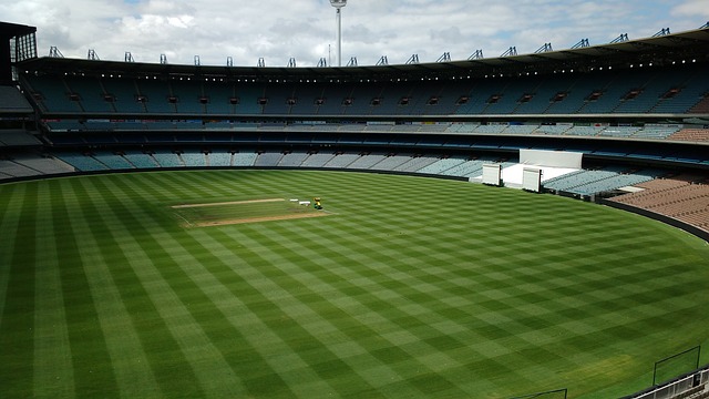 屡屡得分 屡屡得分