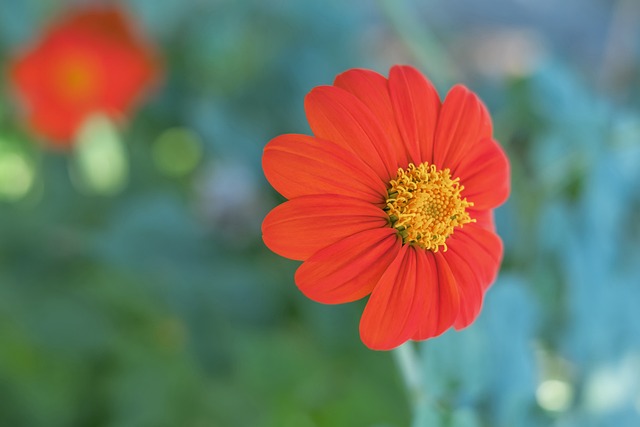 各大俱乐部 各大俱乐部