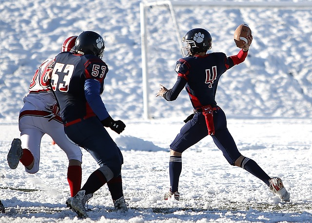 在新秀和老 在新秀和老