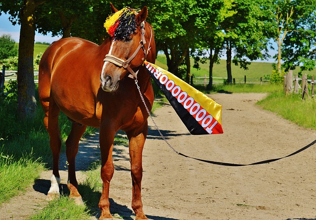 社交媒体和 社交媒体和